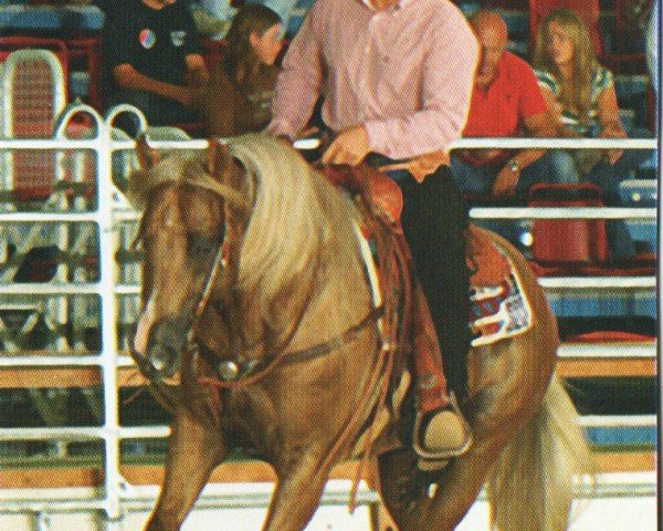 horse The Little Fighter (Quarter Horse, 1999, from Smartin Off)