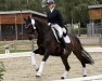 dressage horse Ronja 2256 (Westphalian, 2009, from Rockwell)