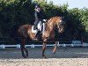 Dressurpferd Ed Florino (Westfale, 2006, von Ehrentusch)