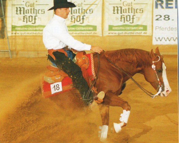 stallion XP Absolut Rooster (Quarter Horse, 2000, from Lena Cielo)