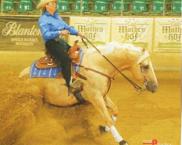 Pferd Just Gotta Shine (Quarter Horse, 1998, von Shining Spark)