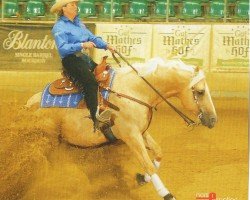 horse Just Gotta Shine (Quarter Horse, 1998, from Shining Spark)