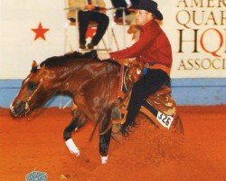 horse Remin Whiz (Quarter Horse, 1997, from Topsail Whiz)