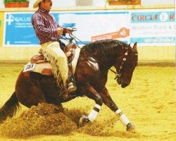 stallion Playin Smarter (Quarter Horse, 2003, from Ill Be Smart)
