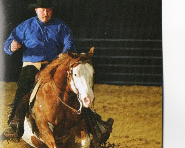horse Galting Gun (Paint Horse, 1999, from Colonels Smoking Gun)