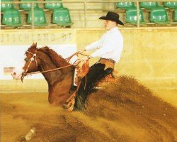 Deckhengst Gunners Crome Son (Quarter Horse, 2004, von Colonels Smoking Gun)