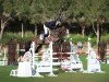 Springpferd True Blue de La Liniere (Belgisches Warmblut, 2019, von Plot Blue)