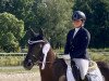 dressage horse Delany HW (German Riding Pony, 2017, from D-Day AT)