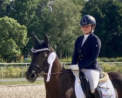 dressage horse Delany HW (Deutsches Reitpony, 2017, from D-Day AT)