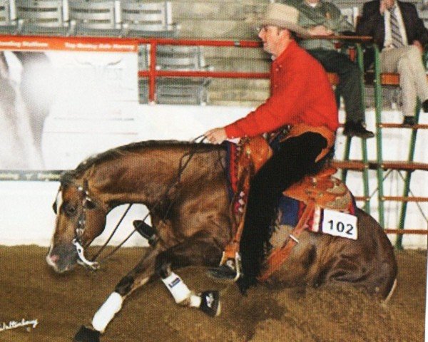 Deckhengst Hollywood Yankee Kid (Quarter Horse, 2001, von Rowdy Yankee)