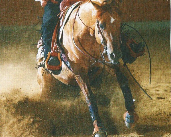horse Jac That Out (Quarter Horse, 2001, from Jacs on Top)