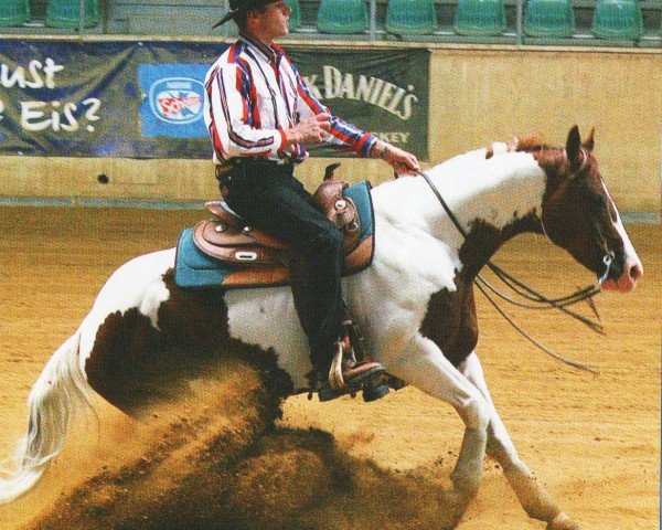 Pferd Ima Painted Tejon (Paint Horse, 2000, von Tejons Little Johnny)