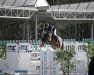broodmare Unique Magic (Westphalian, 2017, from United Touch S)