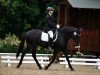 dressage horse Max 3842 (unknown, 1996)