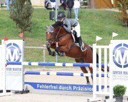 Springpferd Alina 493 (Oldenburger Springpferd, 2008, von Lordanos)