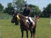 jumper Perle 553 (German Riding Pony, 2001, from Ashley Royale)