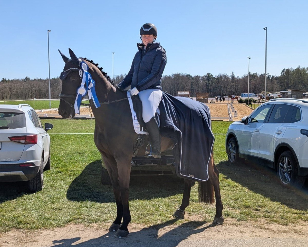 Dressurpferd Fabiano E (Deutsches Sportpferd, 2016, von Feriado)