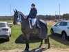 dressage horse Fabiano E (German Sport Horse, 2016, from Feriado)