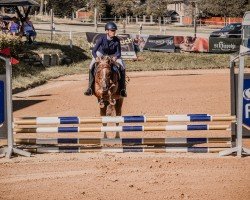 jumper Barneby (German Riding Pony, 2008, from Black Horse 2)