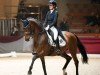 dressage horse Furstin Feenstaub (Hanoverian, 2012, from Fürstenball)