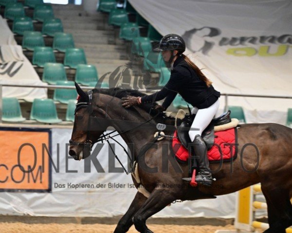 jumper Eine Wie Keine 18 (Holsteiner, 2018, from Catoki)