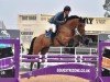jumper Cassius Clay (Hanoverian, 2015, from Comme il Faut)