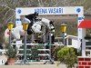 jumper Clooney M (Holsteiner, 2013, from Christian 25)