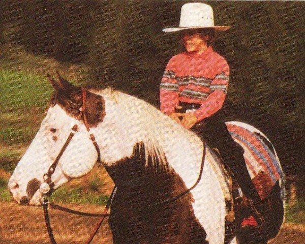 stallion Cats Lad (Paint Horse, 1982, from Sir Cat)