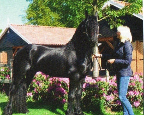 horse Bavius (Friese, 2008, from Fabe 348)