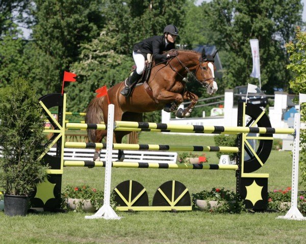 broodmare Jumpy de Kreisker (Selle Français, 1997, from Quito de Baussy)