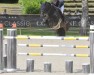 jumper Dakar (KWPN (Royal Dutch Sporthorse), 2008, from Clooney)