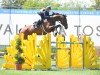 jumper Portofino 84 (Hanoverian, 2016, from Perigueux)