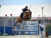 jumper Cascalou S (Oldenburg show jumper, 2018, from Cascadello)