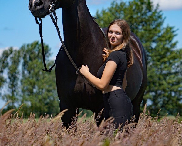 jumper Rhapsodie 211 (Hanoverian, 2007, from Royal Highness)