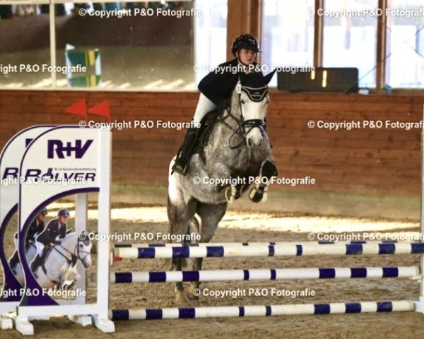 jumper Ice Ice Lady (Hungarian Warmblood, 2018)
