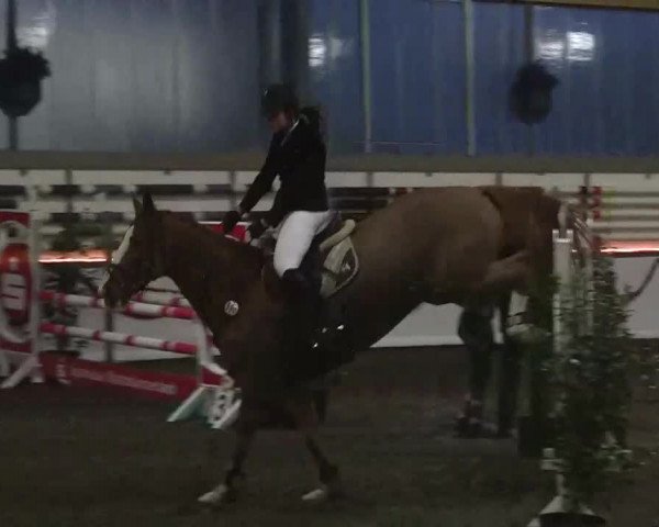 Hallen-Jugend-Springturnier Südlohn-Oeding 2013
