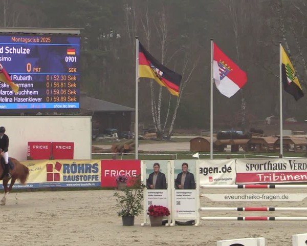 Reitturnier Westergellersen 2025