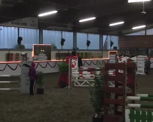 Hallen-Jugend-Springturnier Südlohn-Oeding 2013