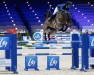 broodmare Egerie du Val du Geer (Belgium Sporthorse, 2010, from Toulon)