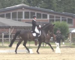 dressage horse Dark Infinity (Hanoverian, 2011, from Don Schufro)