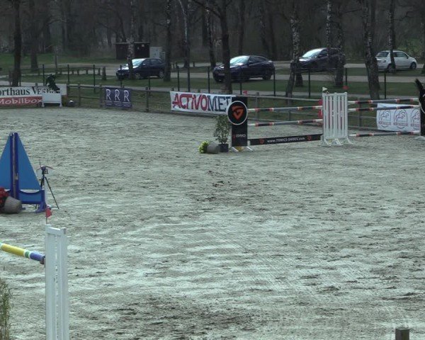 Reitturnier Westergellersen 2025