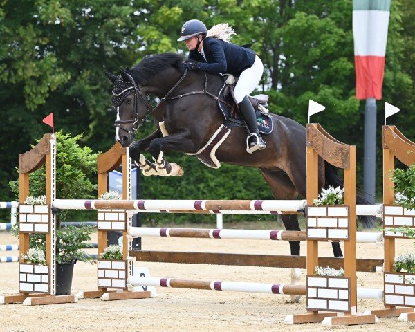 jumper Staedtebahn's Longines (Holsteiner, 2012, from Larimar)