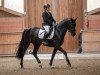 Dressurpferd Sweet Love for Harry H.U. (Westfale, 2015, von San Amour I)