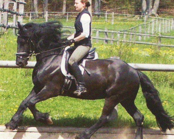 Pferd Wander Z (Friese, 1999, von Gerryt)