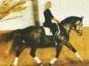 Dressurpferd Pik Donnerhalls Boy (Westfale, 1998, von Pik Donnerhall)
