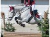 dressage horse Baltimo (Hungarian Warmblood, 2017)