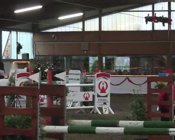 Hallen-Jugend-Springturnier Südlohn-Oeding 2013