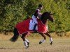 jumper Artus S 3 (Holsteiner, 2016, from Amber 119)