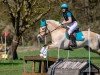 jumper Donito 7 (Fjord Horse, 2016, from Damar)