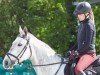 jumper Natascha Vdv (Zangersheide riding horse, 2016, from Napels)